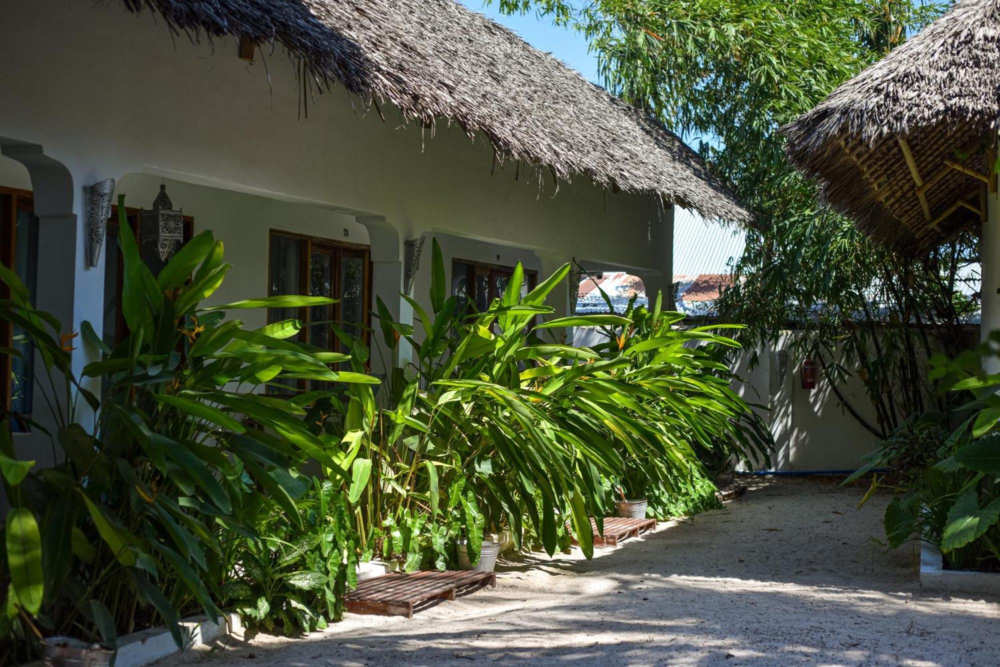 Badolina Bungalows Nungwi Exterior foto